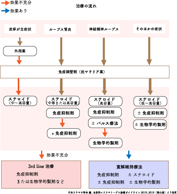 SLEの治療の流れ